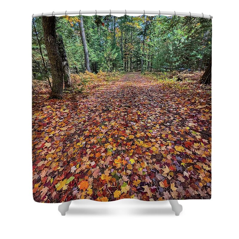 Tahquamenon Falls Shower Curtain featuring the photograph Colors up the Driveway IMG_5873 by Michael Thomas