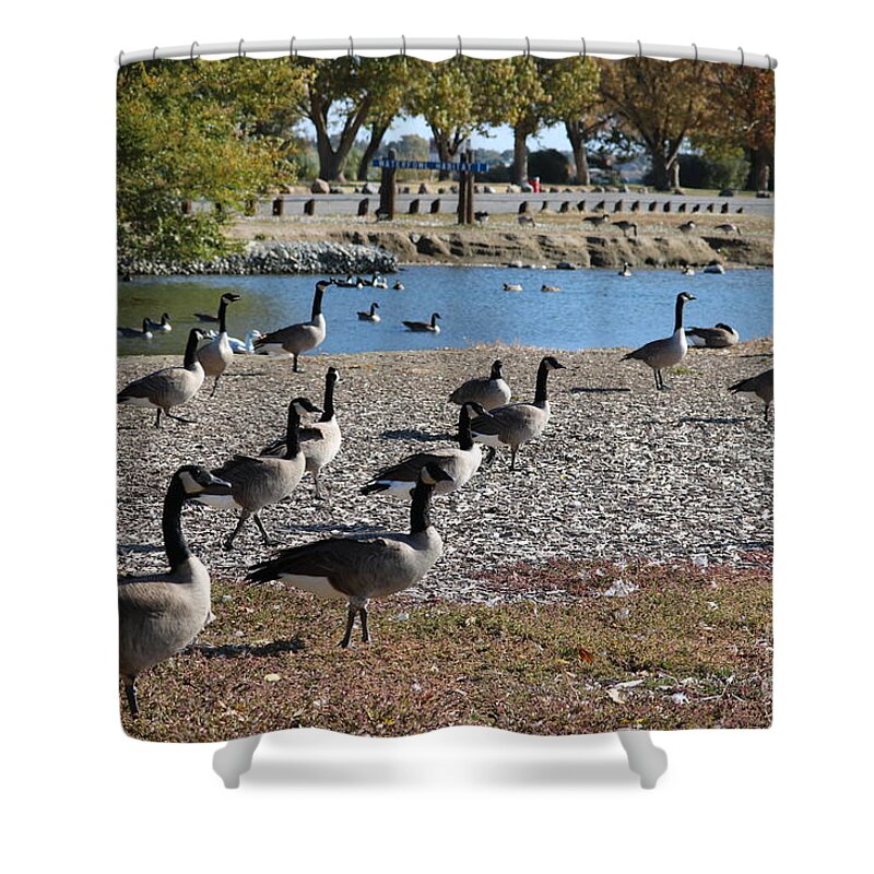 Geese Shower Curtain featuring the photograph Columbia Park Geese by Carol Groenen