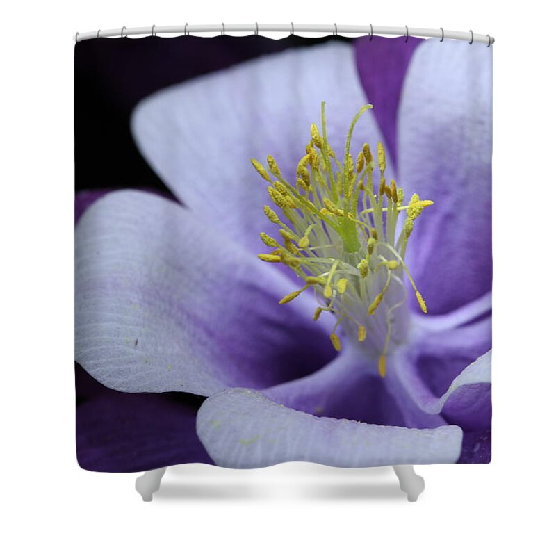 Macro Shower Curtain featuring the photograph Columbine 764 by Julie Powell