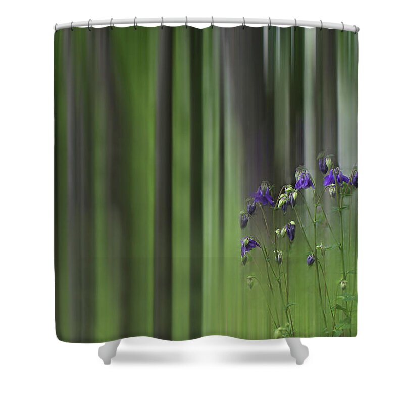 Green Shower Curtain featuring the photograph Columbine Spring by Wayne King