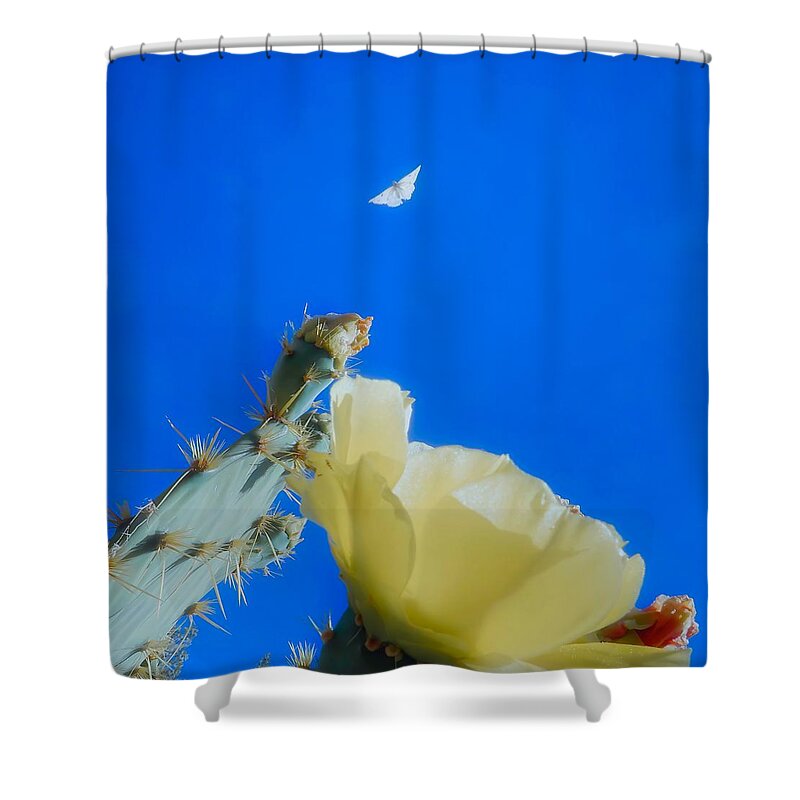 Prickly Pears Shower Curtain featuring the photograph Come Back by Judy Kennedy