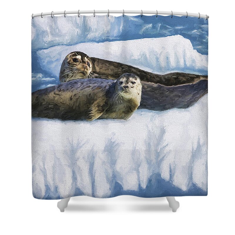 Oil Painting Shower Curtain featuring the painting Comfort Zone by David Wagner