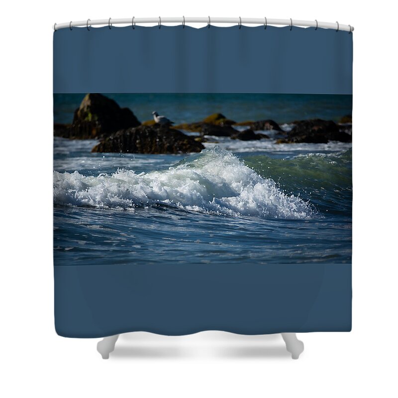 Seascape Shower Curtain featuring the photograph Comfy Wave Watching by Linda Bonaccorsi