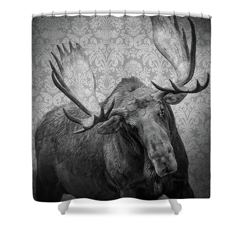 Moose Shower Curtain featuring the photograph Coming at Ya' by Mary Hone