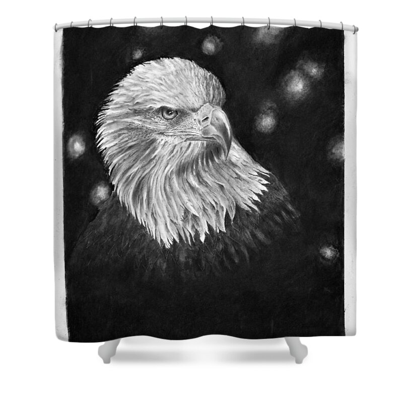 Eagle Shower Curtain featuring the drawing Commanding Gaze by Greg Fox