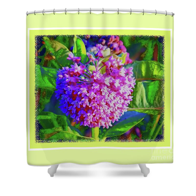 Milkweed Shower Curtain featuring the photograph Common Milkweed by Shirley Moravec