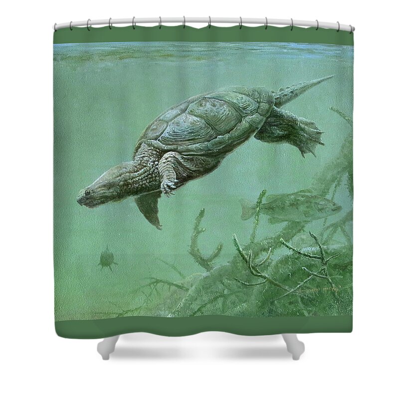 Barry Kent Mackay Shower Curtain featuring the painting Common Snapping Turtle by Barry Kent MacKay