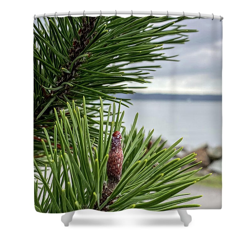 Conifer Shower Curtain featuring the photograph Conifer II by Anamar Pictures