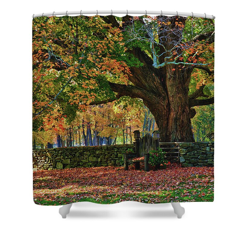 Autumn Shower Curtain featuring the photograph Connecticut fall colors by Jeff Folger