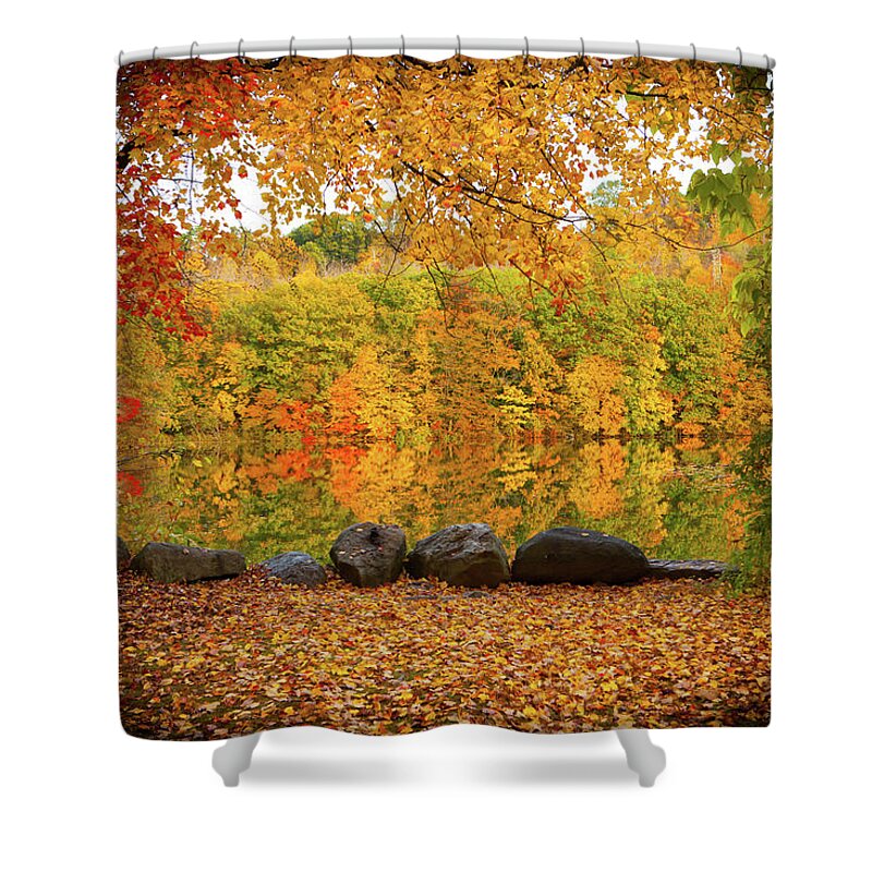 Foliage Shower Curtain featuring the photograph Connecticut_Foliage_8225 by Rocco Leone