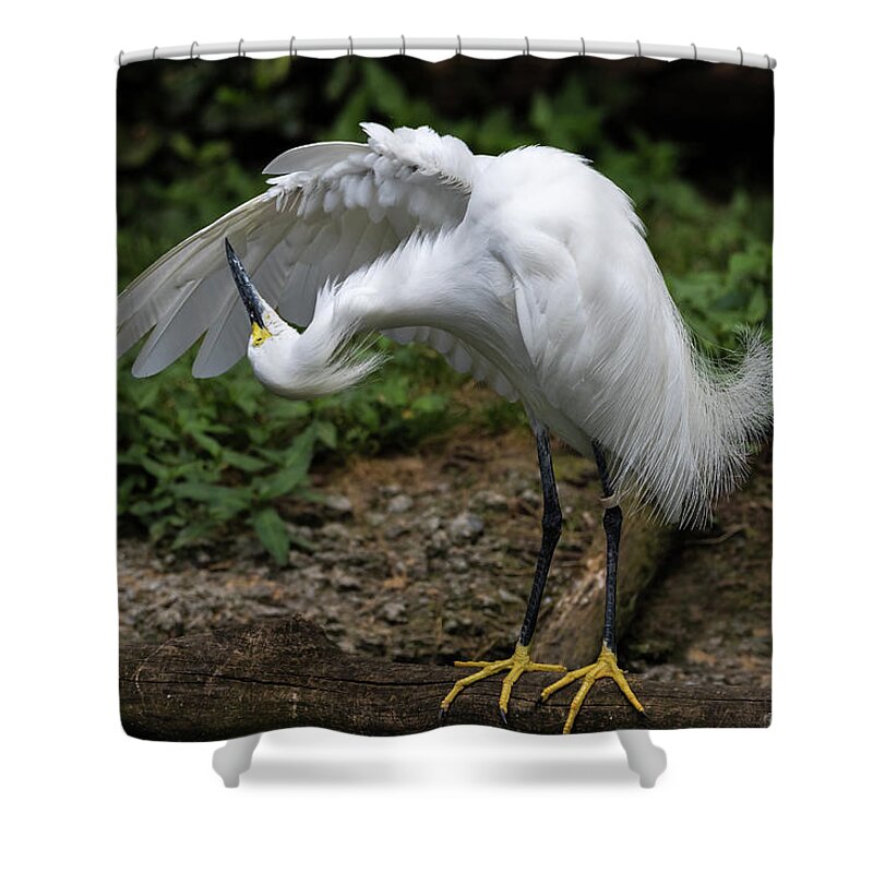 Contortionist Shower Curtain featuring the photograph Contortionist by Jim Miller