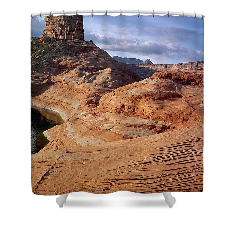 Arizona Shower Curtain featuring the photograph Cookie Jar by Tom Daniel