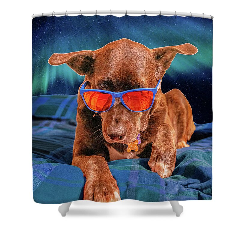 Dog Shower Curtain featuring the photograph Cool Dog Chilling With Sunglasses by Dave Morgan