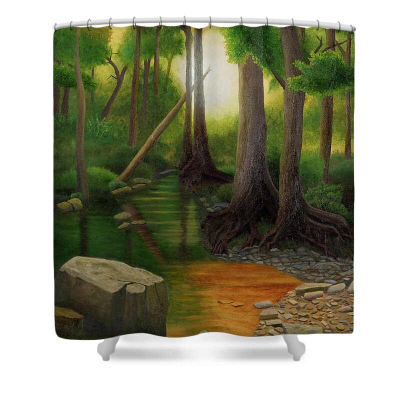 Coonville Creek Shower Curtain featuring the painting Coonville Creek, Missouri Ozarks by Garry McMichael