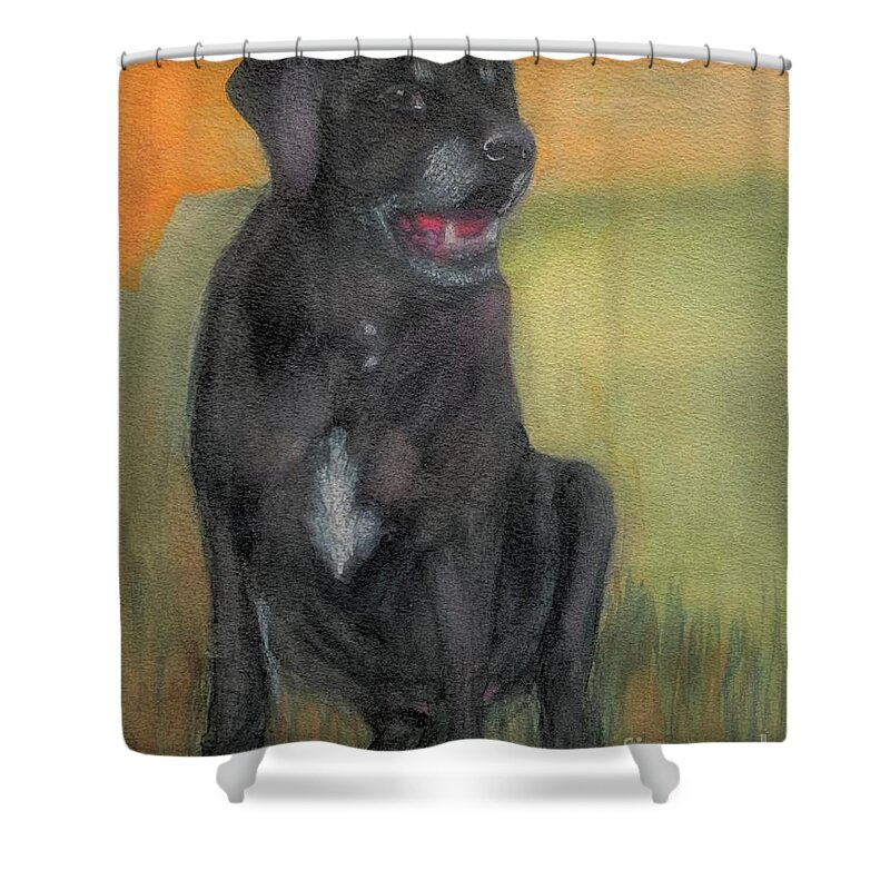 Dog Shower Curtain featuring the painting Cooper by Sue Carmony