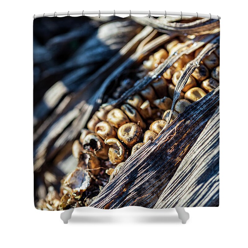Plants Shower Curtain featuring the photograph Corn Field Leftovers by Amelia Pearn