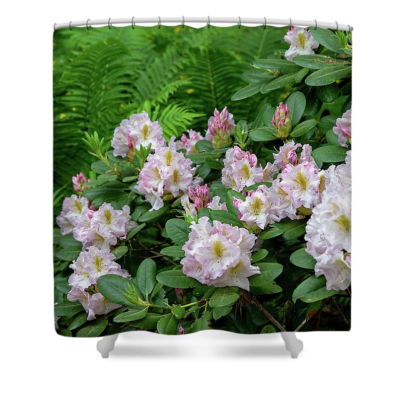 Cornell University Shower Curtain featuring the photograph Cornell Botanic Gardens #2 by Mindy Musick King