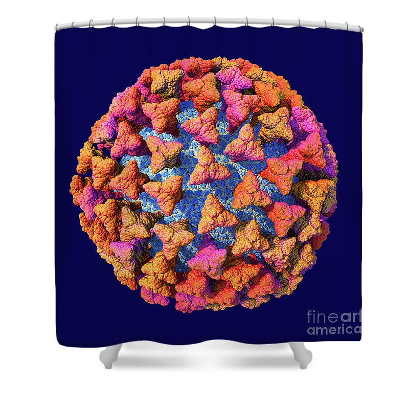 Coronavirus Shower Curtain featuring the digital art Coronavirus Scale Model Purple by Russell Kightley