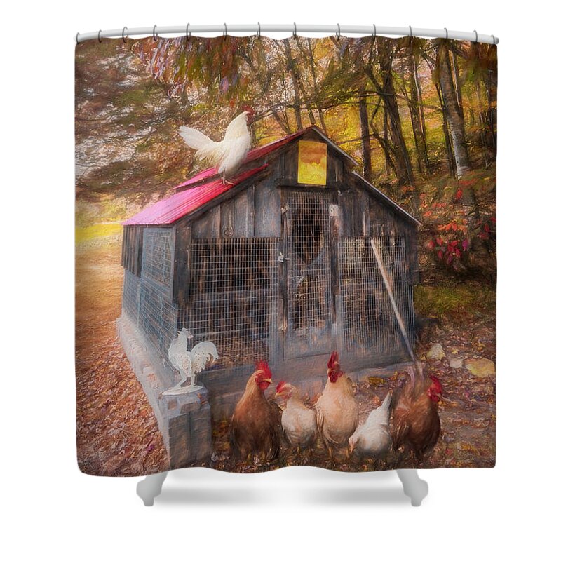 Animals Shower Curtain featuring the photograph Country Chicken Coop Oil Painting by Debra and Dave Vanderlaan