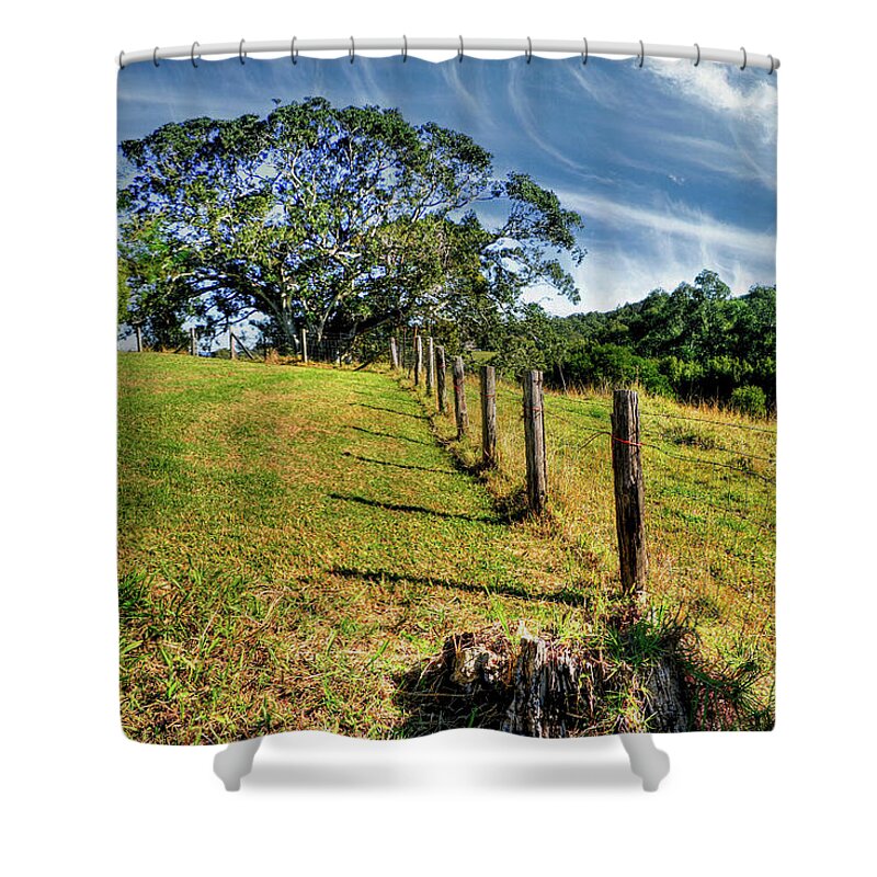 Country Fence Shower Curtain featuring the photograph Country Fence and Old Fig Tree by Kaye Menner by Kaye Menner