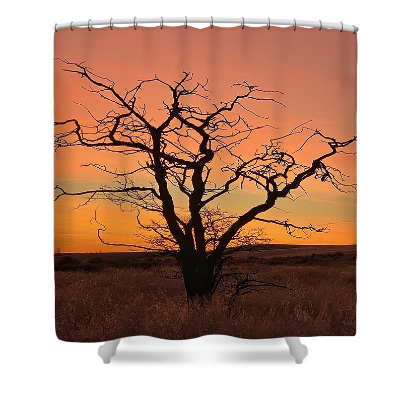 Sunrise Shower Curtain featuring the photograph Country Sunrise by Jerry Abbott