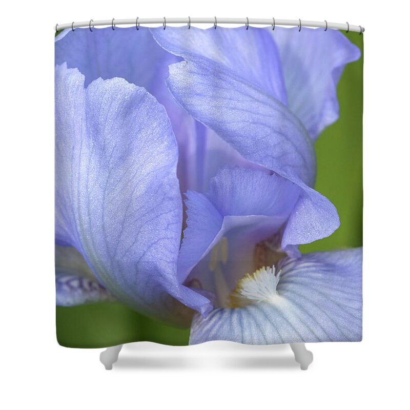 Iris Shower Curtain featuring the photograph Courage by Patty Colabuono