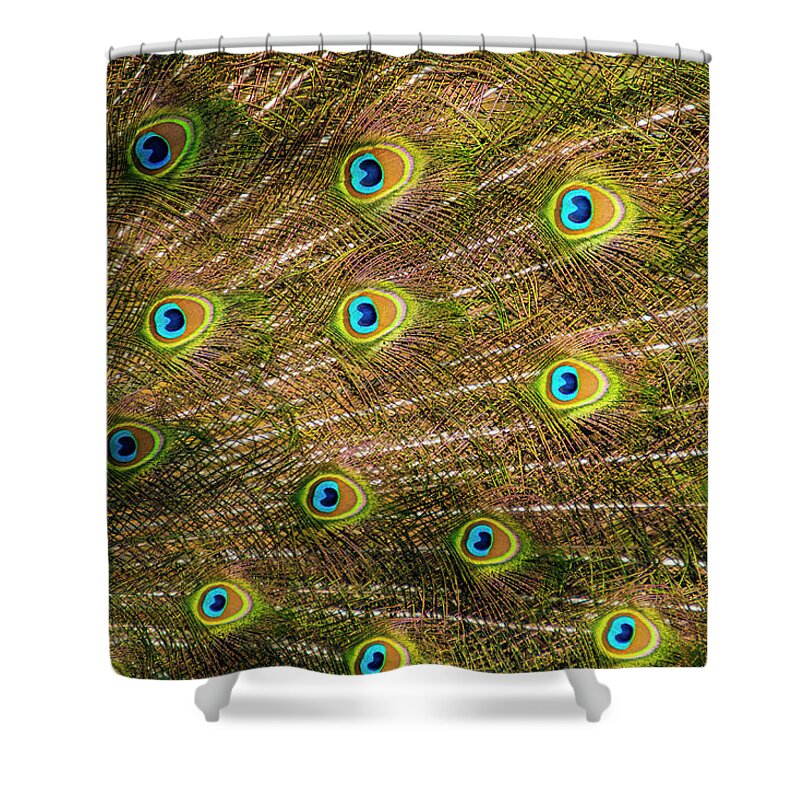 Greensboro Science Center Shower Curtain featuring the photograph Courting by Melissa Southern