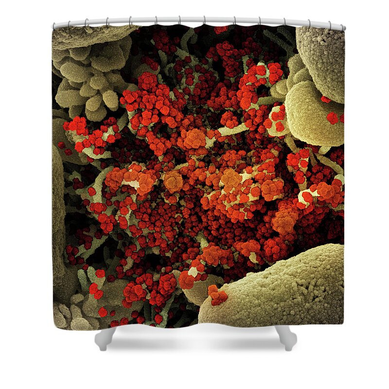 Novel Coronavirus Shower Curtain featuring the painting COVID-19, Novel Coronavirus SARS-CoV-2, Image No.5 by National Institute of Allergy and Infectious Diseases