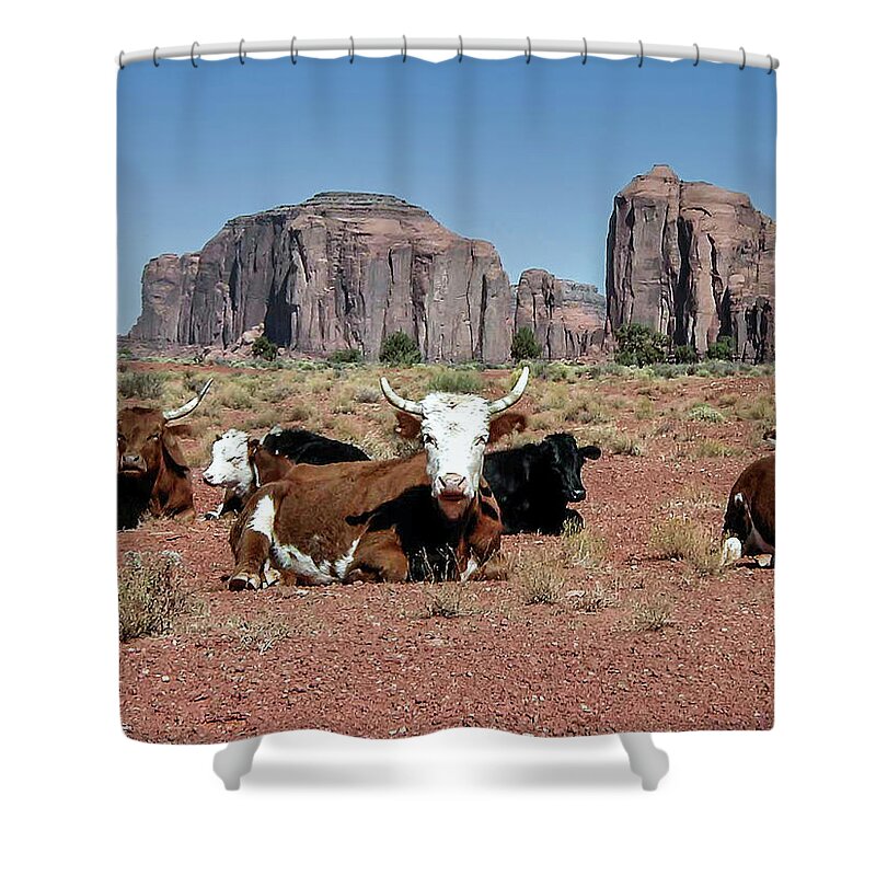 Monument Valley Shower Curtain featuring the photograph Cows in the Mittens by Louis Dallara