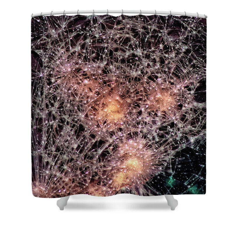 Intercosmic Space Shower Curtains