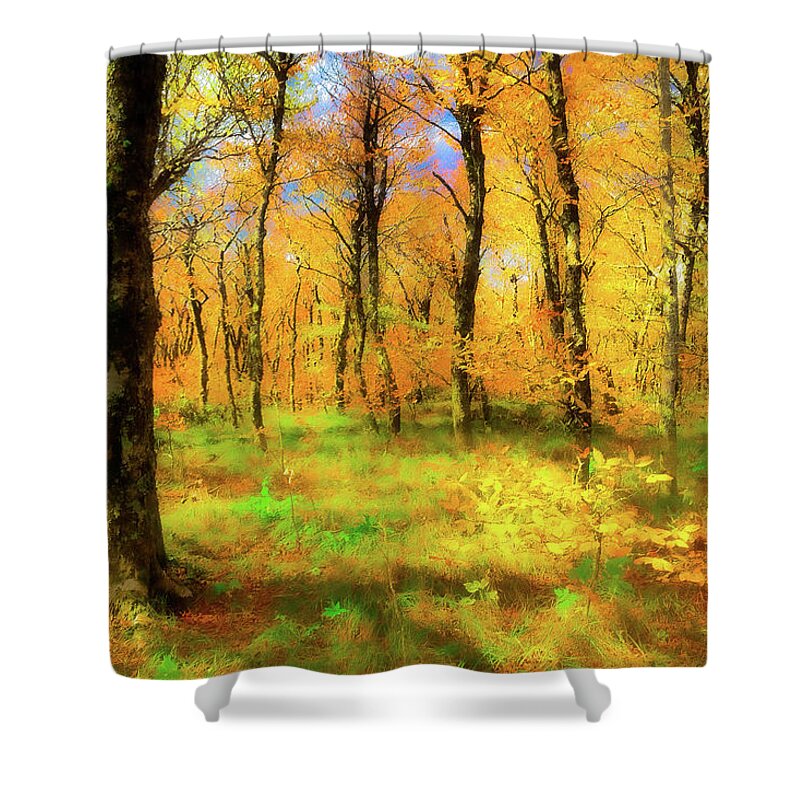 Autumn Shower Curtain featuring the painting Craggy Gardens Autumn in the Blue Ridge ap by Dan Carmichael