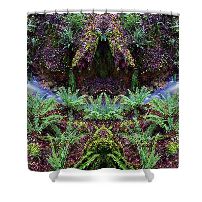 Nature Art Shower Curtain featuring the photograph Creek Haven by Ben Upham III