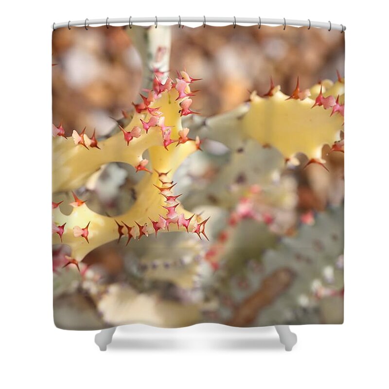 Crested Elkhorn Shower Curtain featuring the photograph Crested Elkhorn by Mingming Jiang
