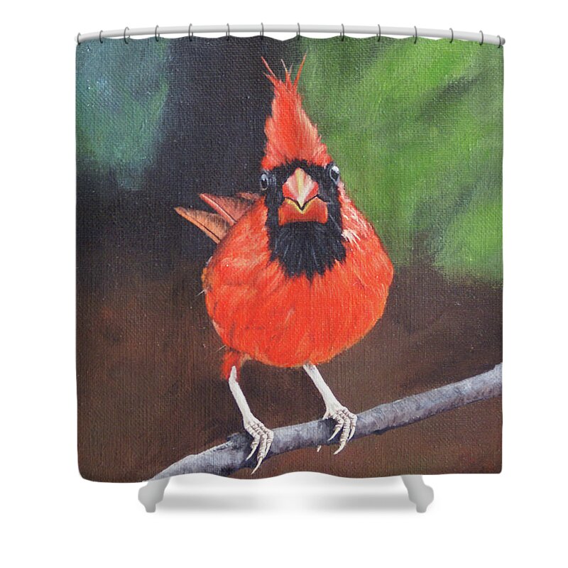 Northern Cardinal Shower Curtain featuring the painting Crested Messenger by Heather E Harman