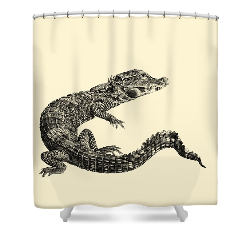 Crocodile Shower Curtain featuring the digital art Crocodile by Madame Memento