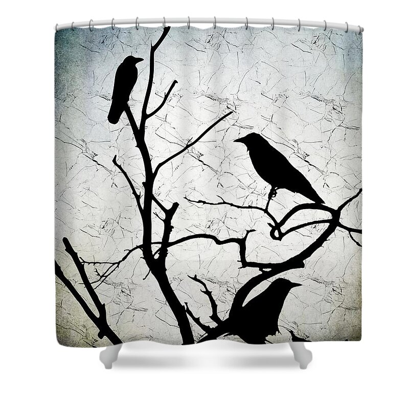 Bird Shower Curtain featuring the digital art Crow Birds on Tree Bird 91 by Lucie Dumas