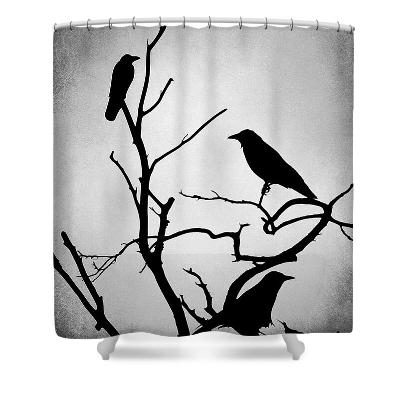 Bird Shower Curtain featuring the digital art Crow Birds on Trees Bird 89 by Lucie Dumas