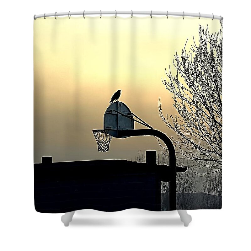 Sunrise Shower Curtain featuring the photograph Crow Slam Dunk by Richard Thomas
