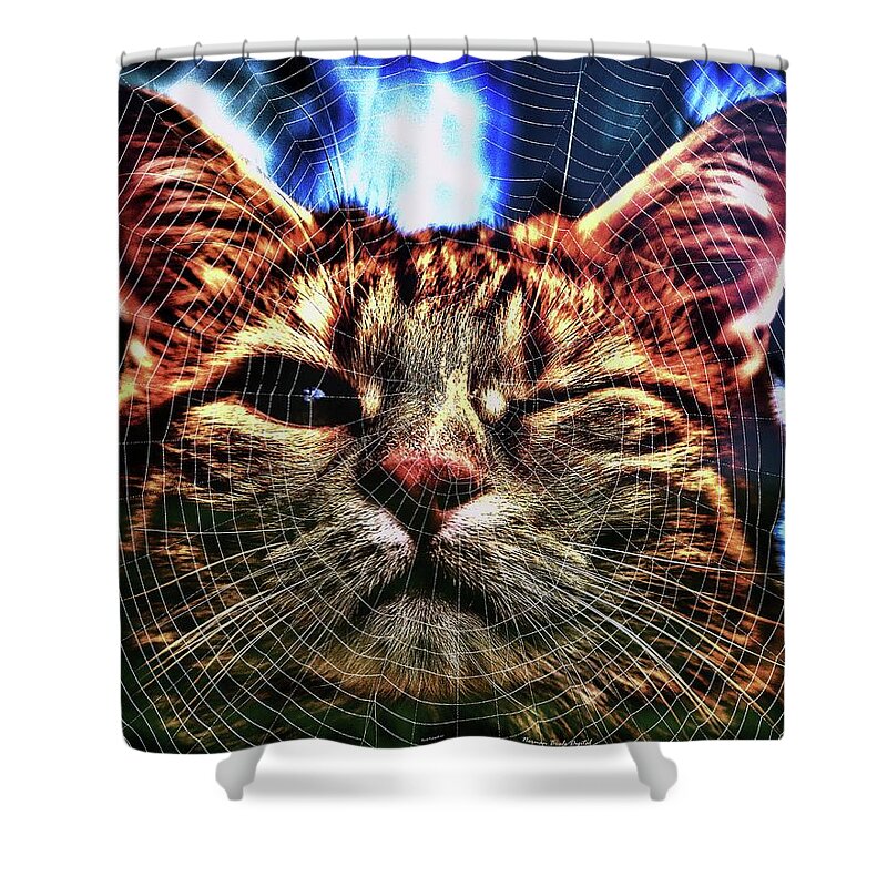 Spider Shower Curtain featuring the digital art Curious by Norman Brule
