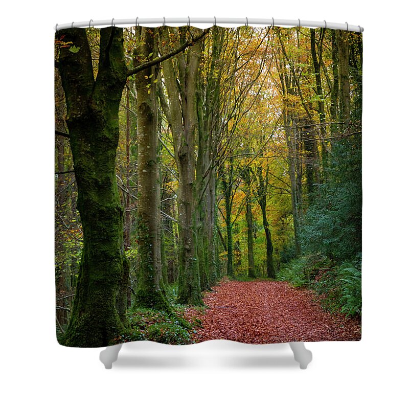 Stone Arch Shower Curtain featuring the photograph Curraghchase walkways by Mark Callanan