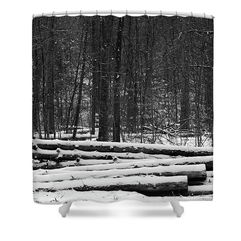 Black And White Shower Curtain featuring the photograph Cut logs in Simcoe County Forest by James Canning