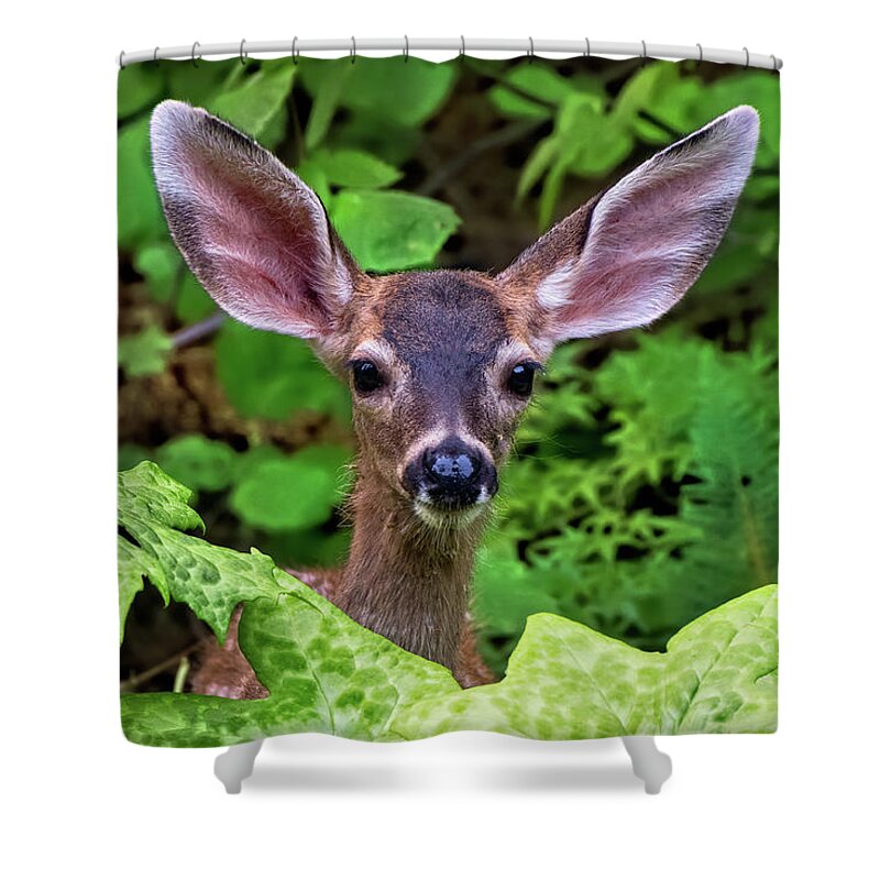 Fawn Shower Curtain featuring the photograph Cute Fawn Deer Browsing the Garden by Kathleen Bishop