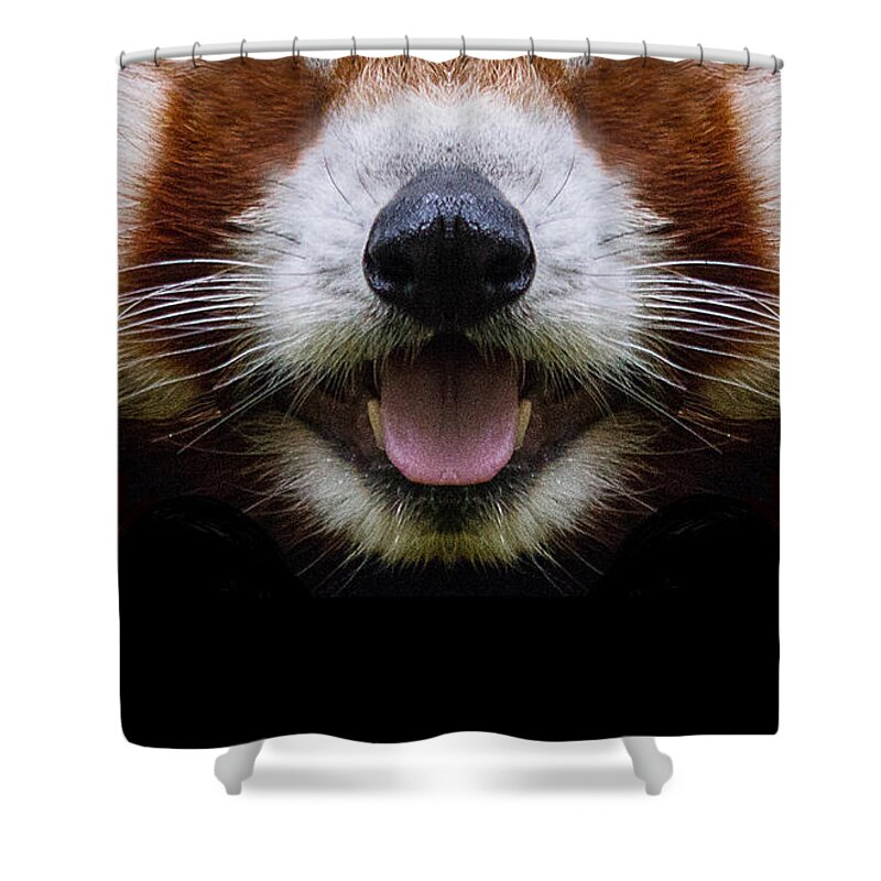 Red Panda Shower Curtain featuring the digital art Cute Red Panda Face by Laura Ostrowski