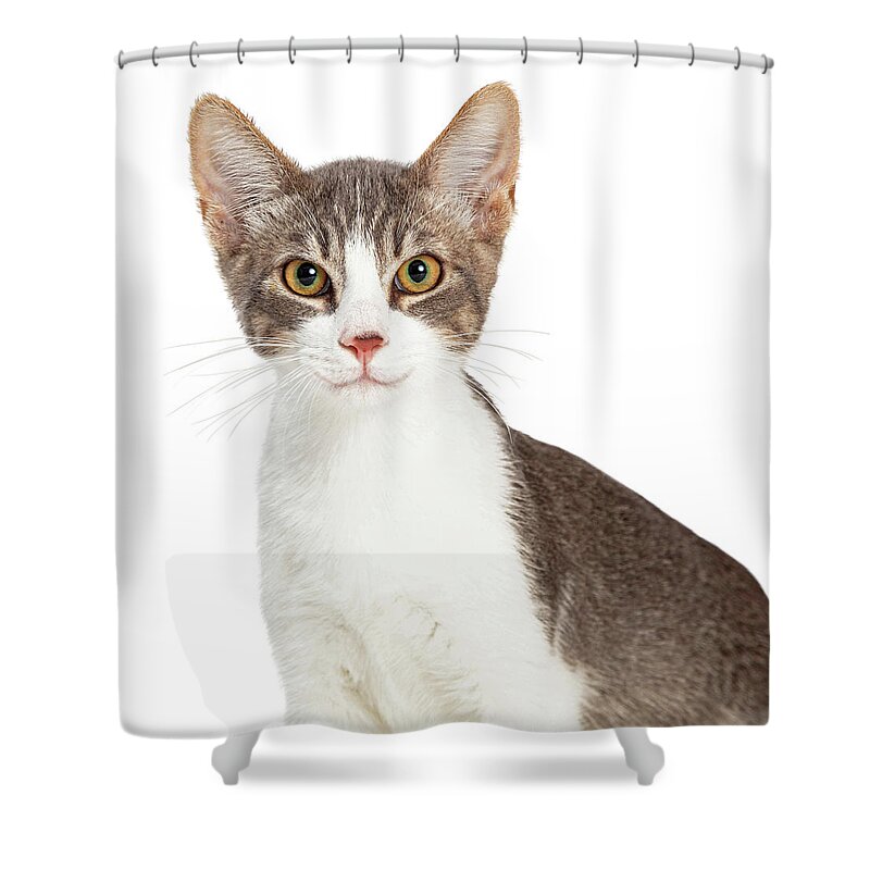 Cat Shower Curtain featuring the photograph Cute Smiling Young Cat Closeup by Good Focused