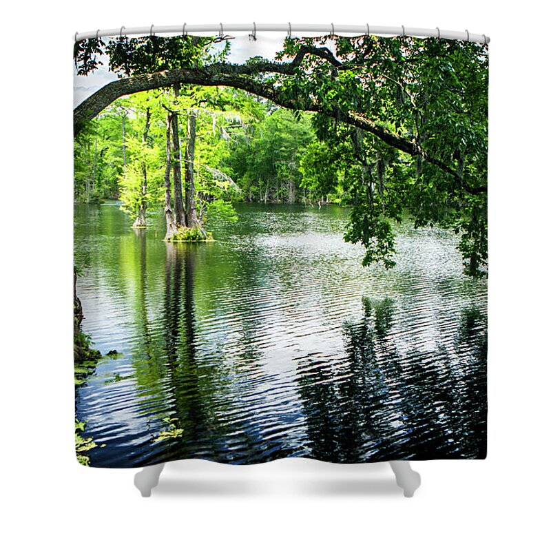 Color Shower Curtain featuring the photograph Cypress Lake by Alan Hausenflock