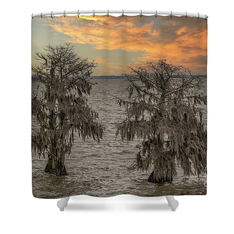 Cypress Tree Shower Curtain featuring the photograph Cypress Sunset - Lake Moultrie - Charleston South Carolina by Dale Powell