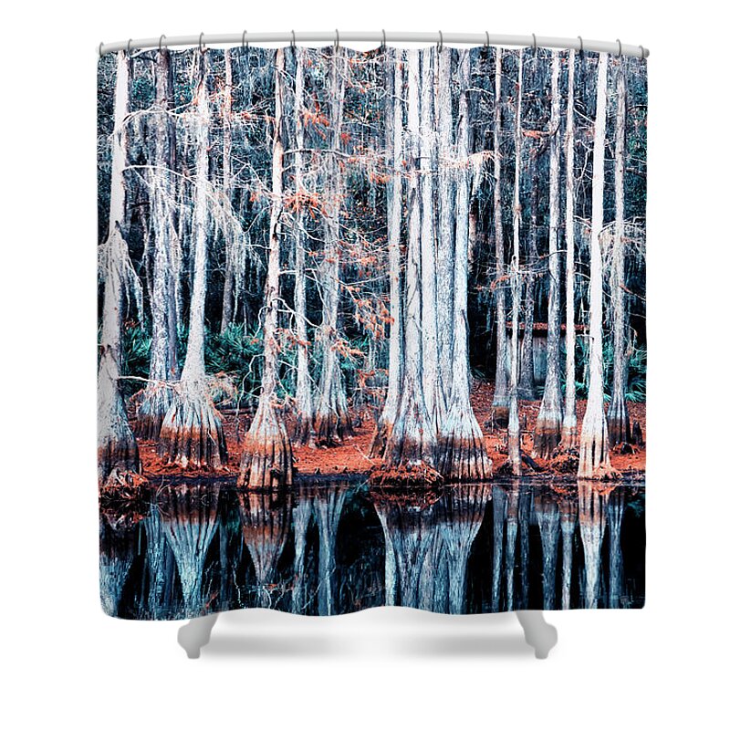 South Florida Scenery Shower Curtains