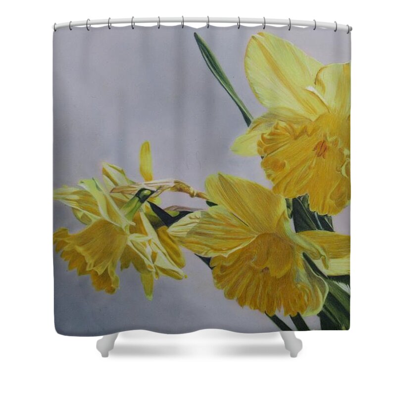 Floral Shower Curtain featuring the drawing Daffodils by Kelly Speros