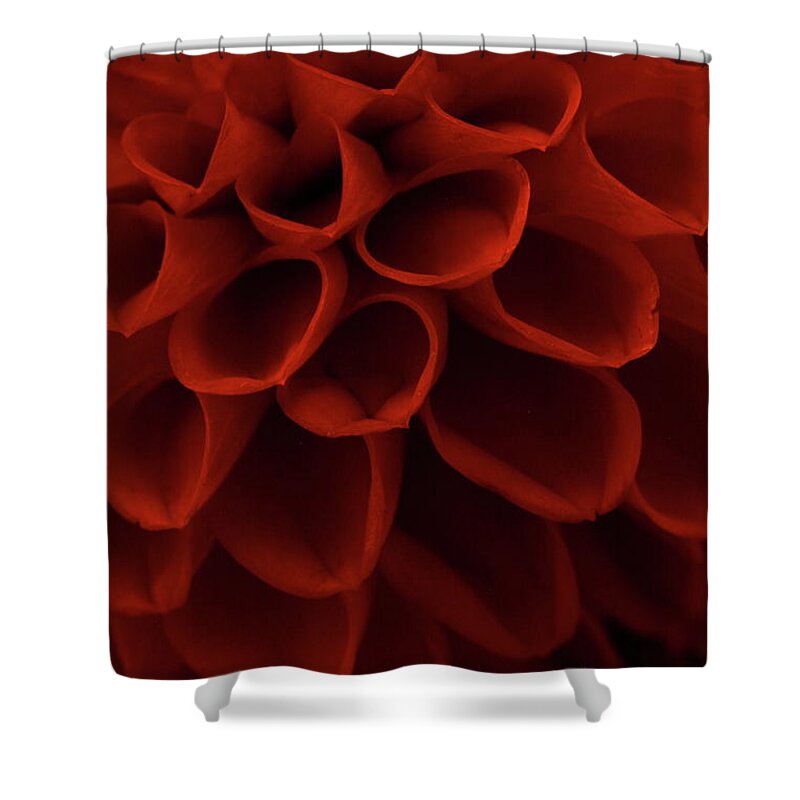 Flora Shower Curtain featuring the photograph Dahlia 4323 by Julie Powell