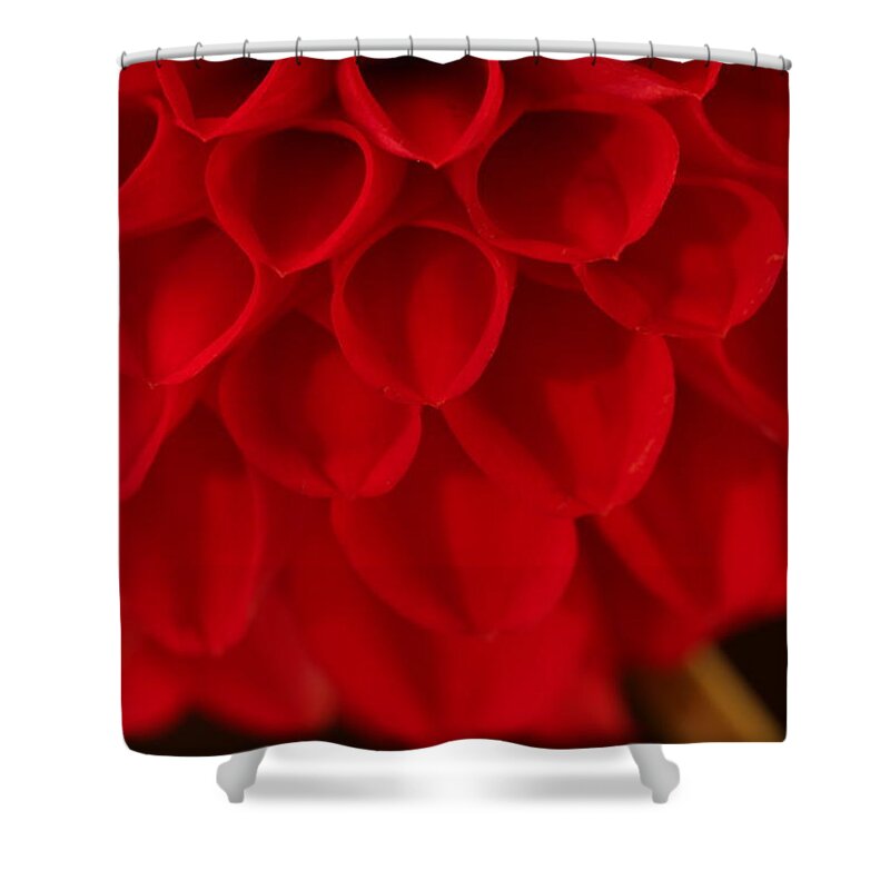 Flower Shower Curtain featuring the photograph Dahlia 4384 by Julie Powell